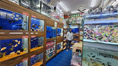 aquarium online bangalore|Online Aquarium Shop .